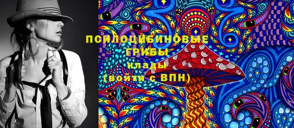 дживик Киренск