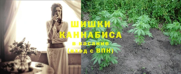сатива Киреевск