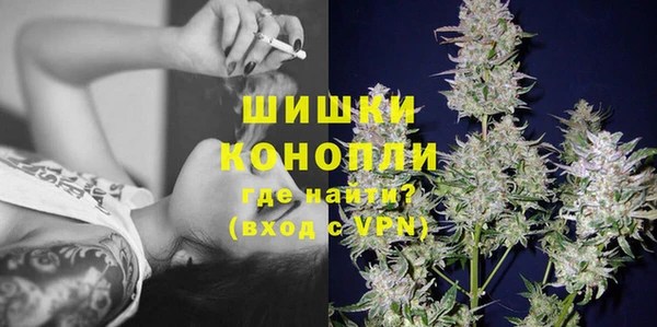 дмт Кинешма