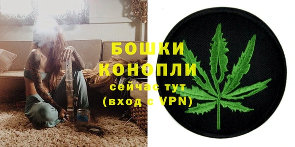 дживик Киренск