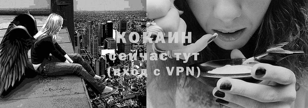 дживик Киренск