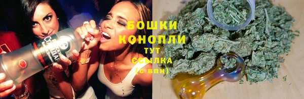 сатива Киреевск